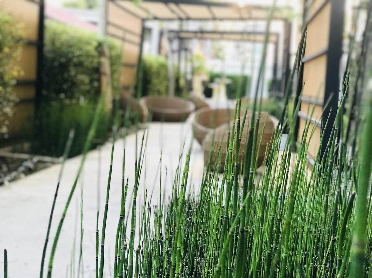 Astra Suites Central Chiang Mai Eksteriør billede