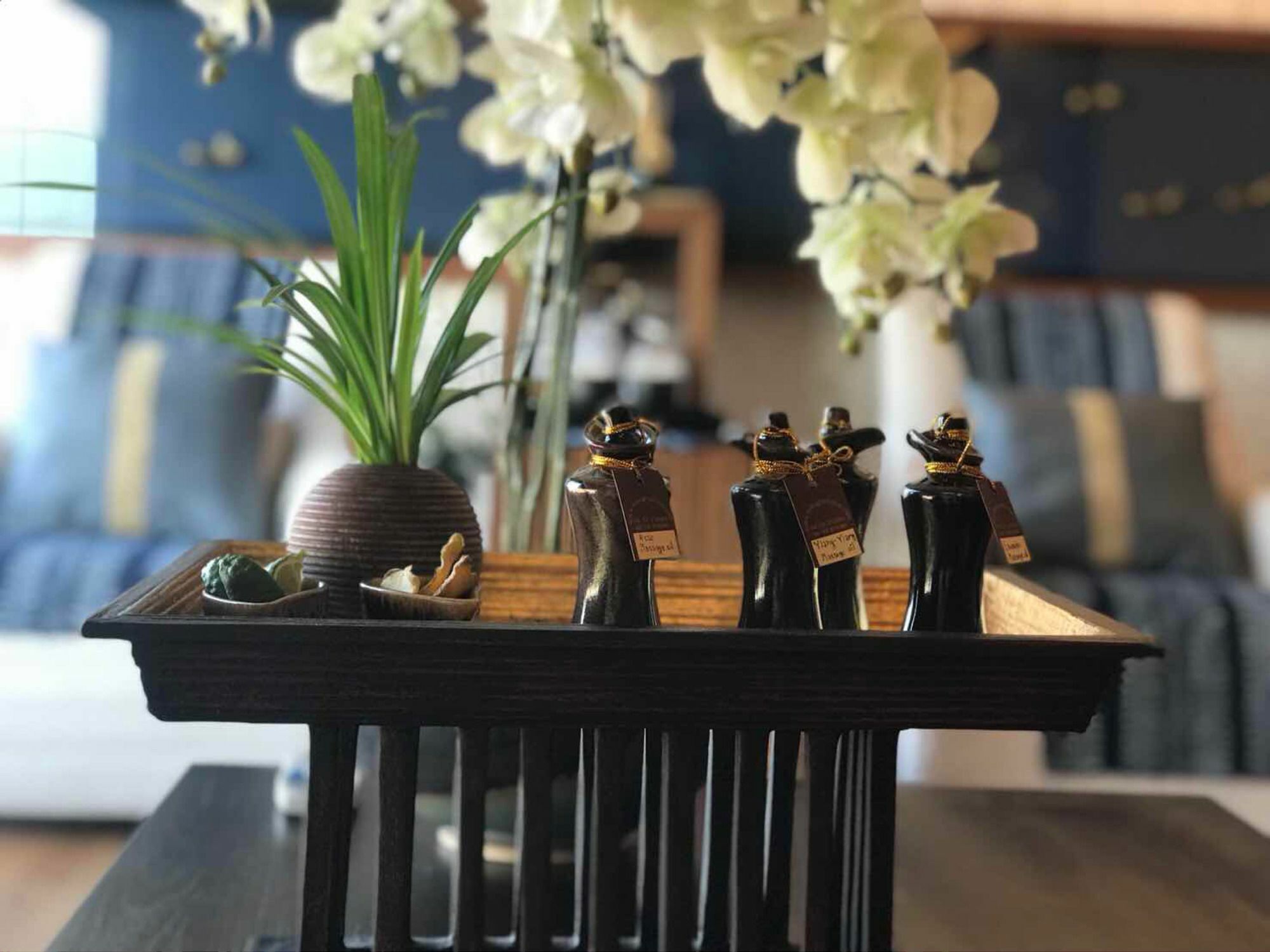 Astra Suites Central Chiang Mai Eksteriør billede